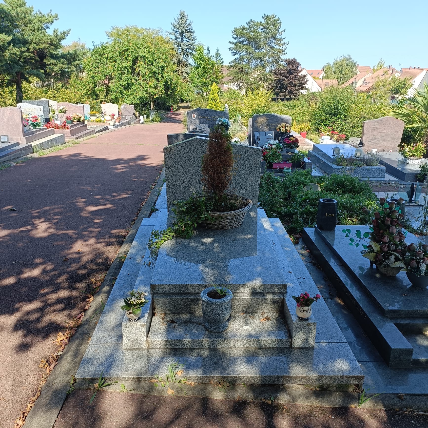tombe papi avant